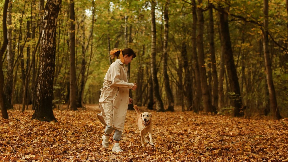 Žena hrající si se psem v lese